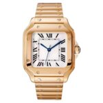 Bellenza's Santos - Image 3